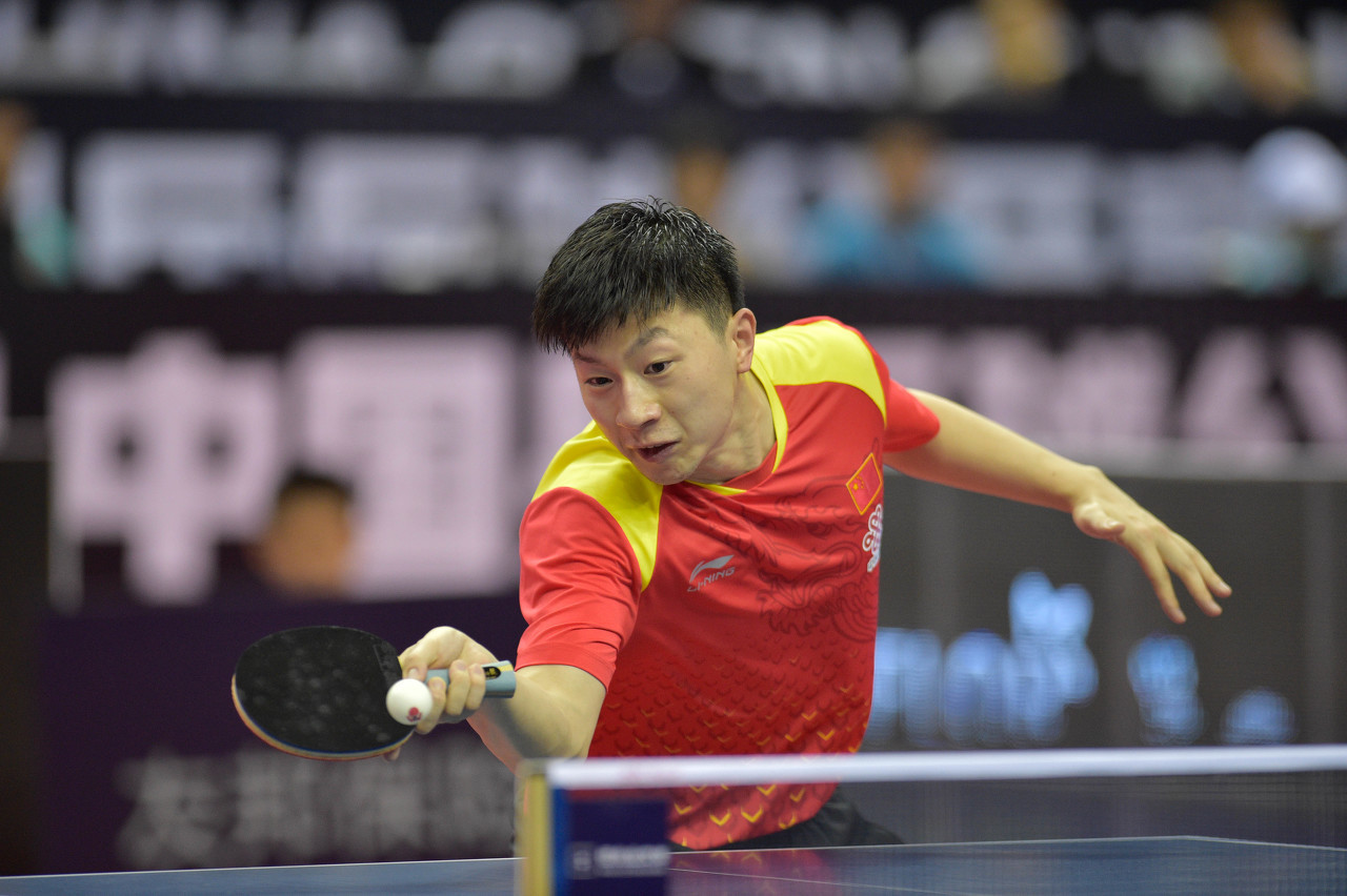 共有10位 共有10位