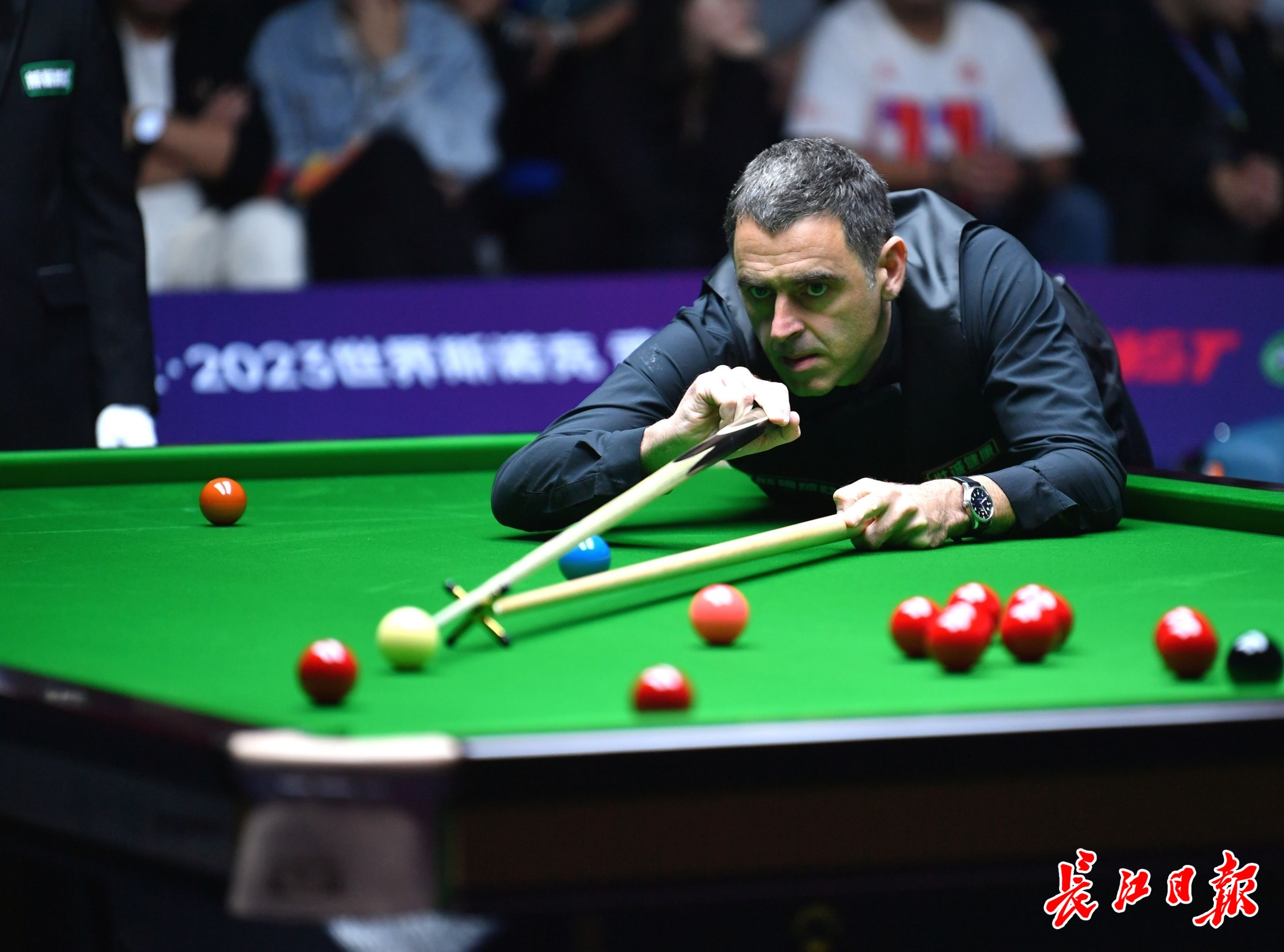 根据最新的 根据最新的